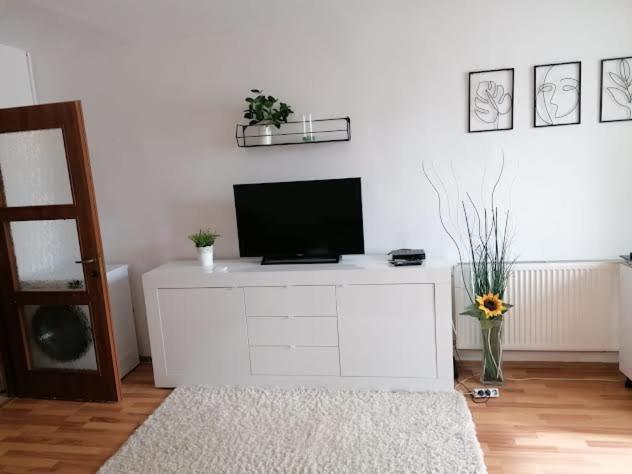 Nexus Studio Deluxe Csíkszereda Kültér fotó